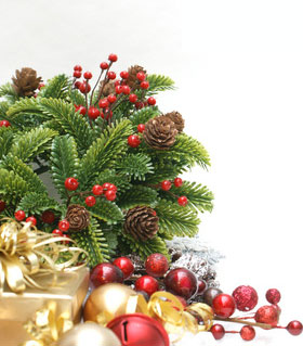 Frohe Weihnachten wünscht das Team von Blumen Olli