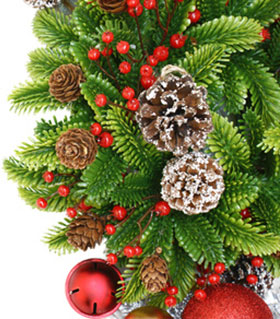 Einen guten Rutsch ins neue Jahr wünscht das Team von Blumen Olli